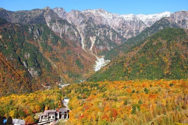 新穂高ロープウェイからの紅葉/新穂高温泉の紅葉 画像提供：新穂高ロープウェイ