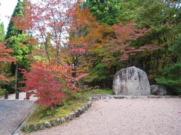 南･北展望台からの景色は必見/岡山県立森林公園の紅葉 画像提供：岡山県立森林公園