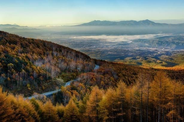 黄金色の紅葉に色づいた山々の悠然たる佇まい/高峰高原の紅葉 画像提供：信州小諸フォトコンテスト入賞作品：清水貴弘さん