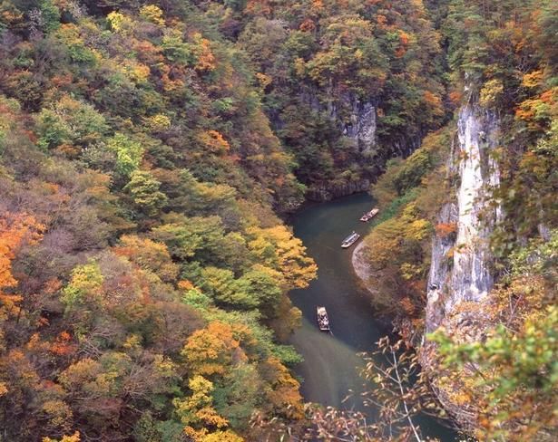 猛々しい渓谷を紅葉が鮮やかに彩る/猊鼻渓の紅葉 画像提供：げいび観光センター