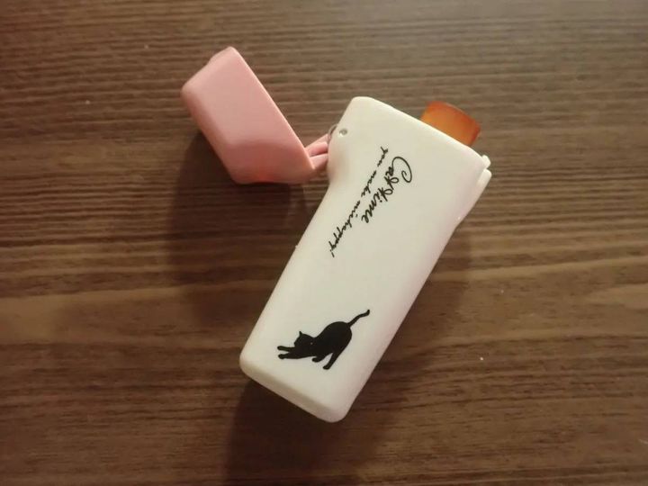 ダイソー：そのまま押せる印鑑ケース(ネコ)