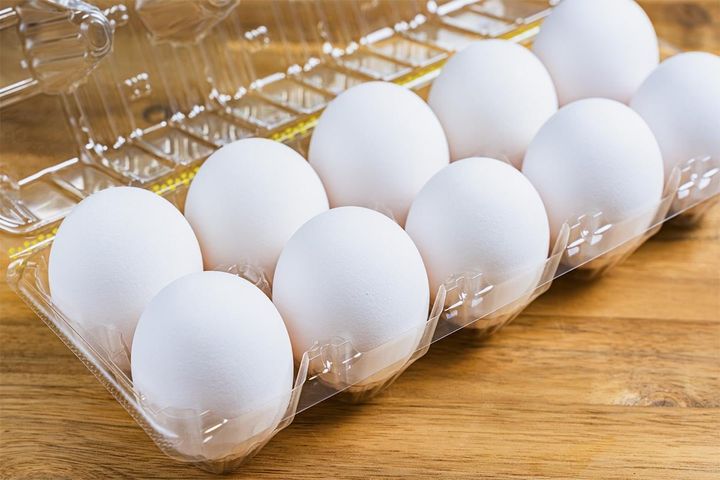 「卵のサイズ」に隠された秘密
