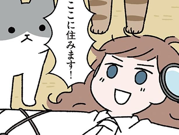 ここに住みます！ （C）ぱんだにあ／KADOKAWA