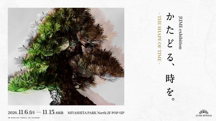 渋谷MIYASHITA PARKで盆栽作家・眞利子大輔の初個展！土佐和紙が織りなす造形美を体感
