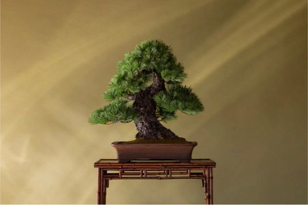 渋谷MIYASHITA PARKで盆栽作家・眞利子大輔の初個展！土佐和紙が織りなす造形美を体感