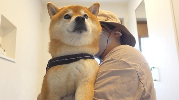 ウキウキでお散歩に出発！