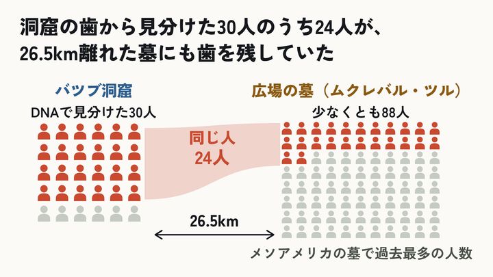 洞窟の30人のうち24人が、広場の墓にも