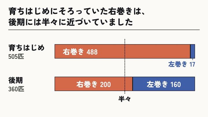 圧倒的な右巻きからの脱却