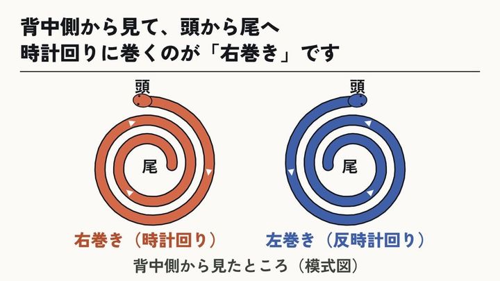 右巻きと左巻きの見分け方