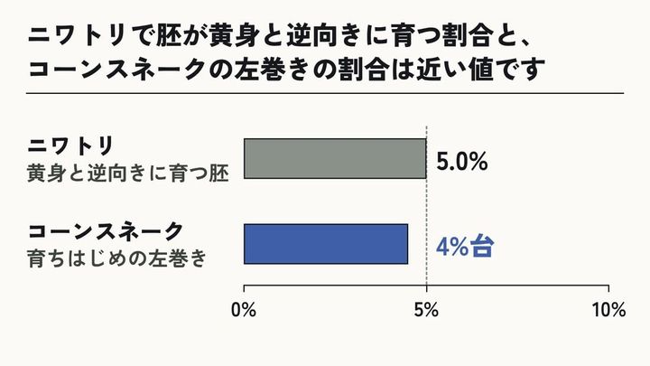 ニワトリの「逆向き」とヘビの左巻き