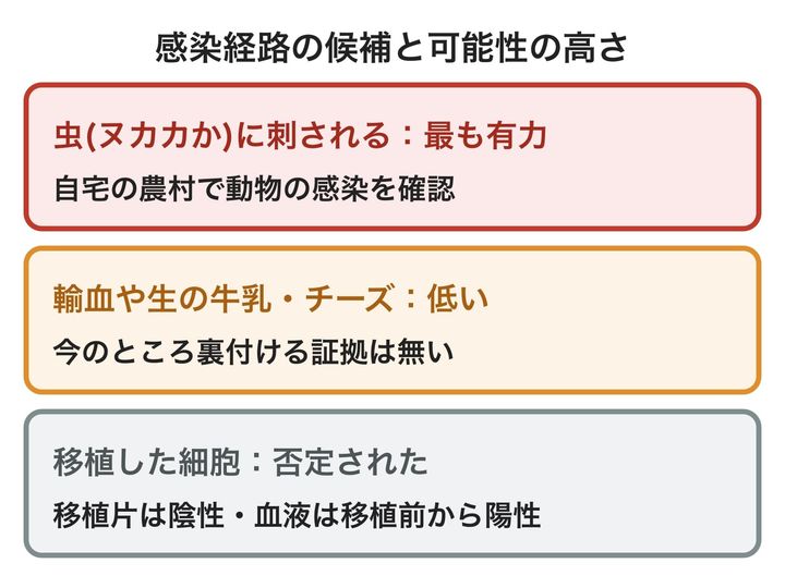 患者がどの道すじでウイルスに感染したかの候補を、可能性の高い順に上から並べた図です。虫に刺された道が最も有力で、移植による感染ははっきり外されています。