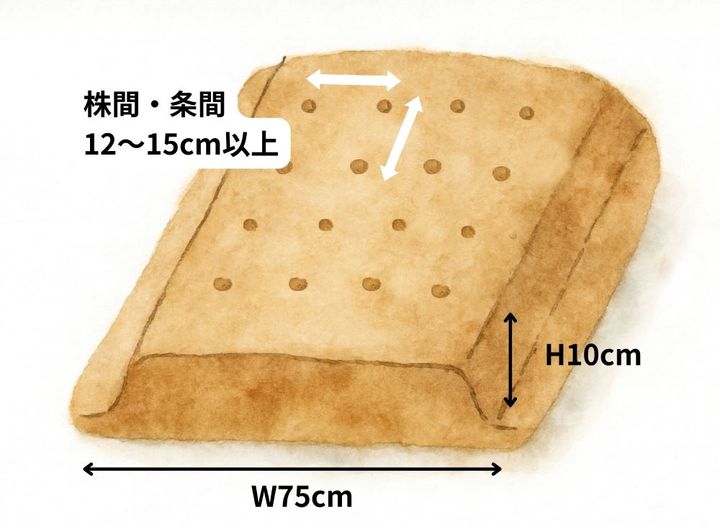 玉ねぎ栽培