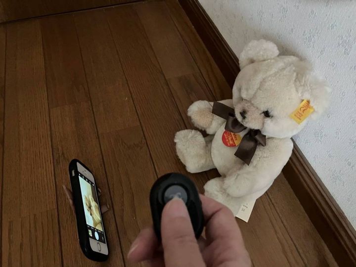 DAISO(ダイソー)：スマートフォンシャッターリモコン