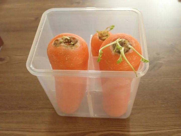ダイソー：新鮮野菜スタンド
