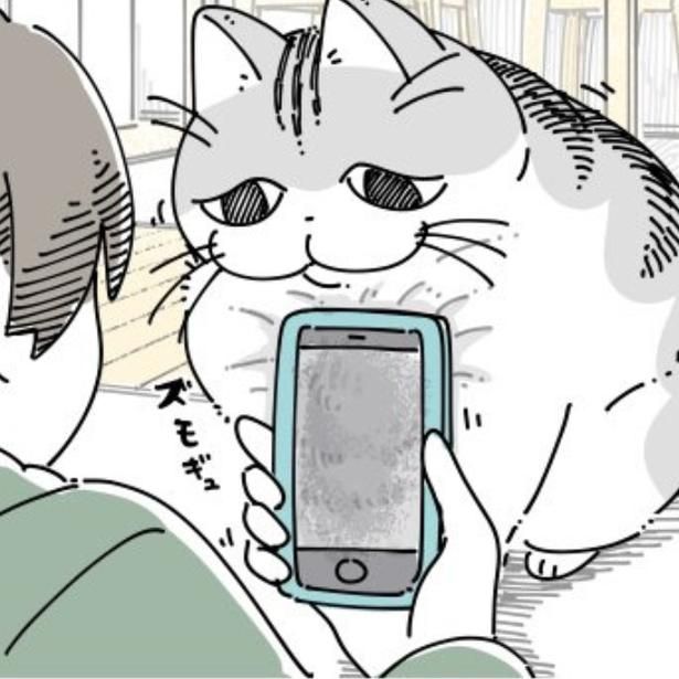 スマホで猫を撮影する飼い主 画像提供：キュルZ@kyuryuZ