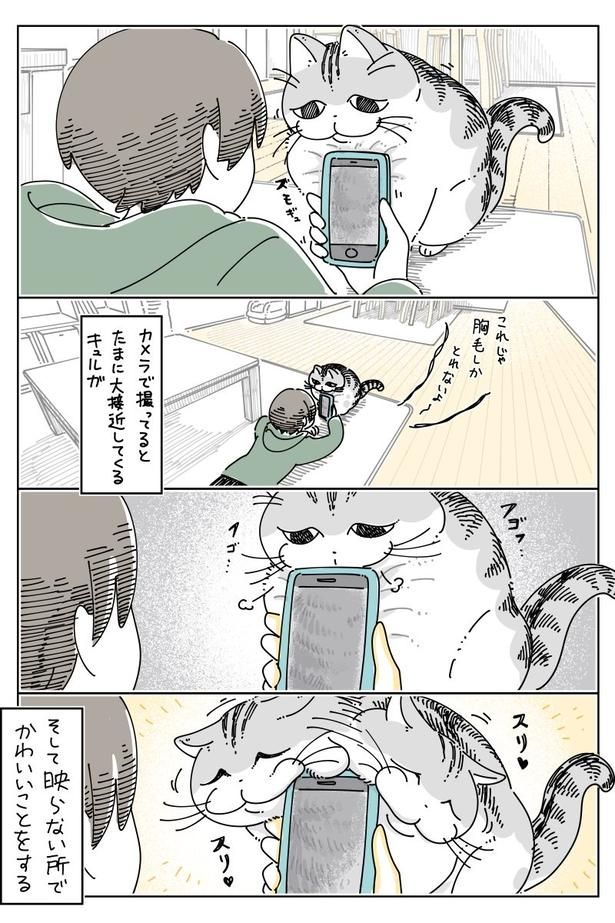 03 画像提供：キュルZ@kyuryuZ