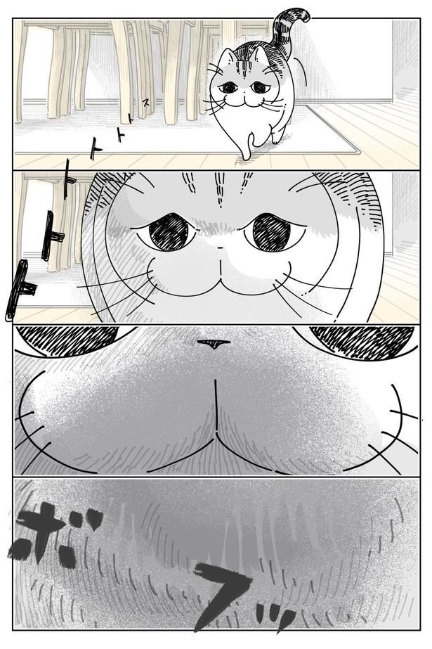 02 画像提供：キュルZ@kyuryuZ