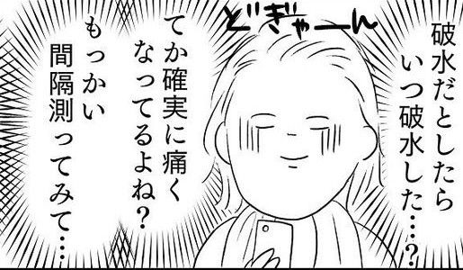 あん太くん出産レポのサムネイル