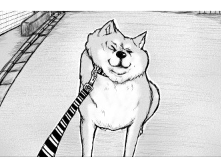 コタニさんちの柴犬はのサムネイル