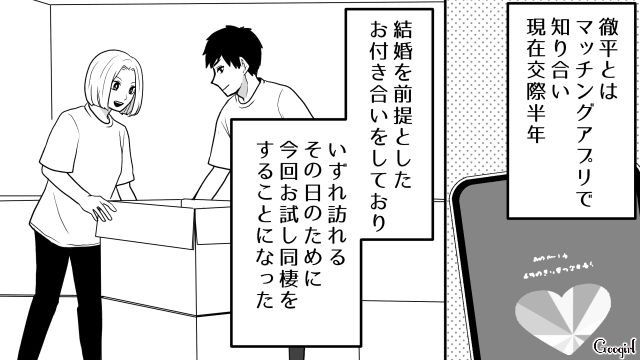 【恋愛漫画】「我慢できない！！」彼が好きで同棲したのに価値観が合わなくて結婚をやめた話のサムネイル